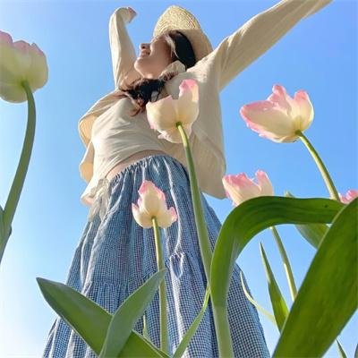 帝企鹅日记